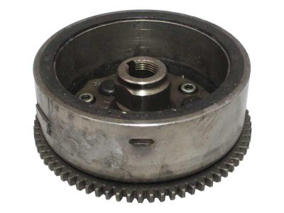 پوسته سنگ برق ژاپنی TTR250